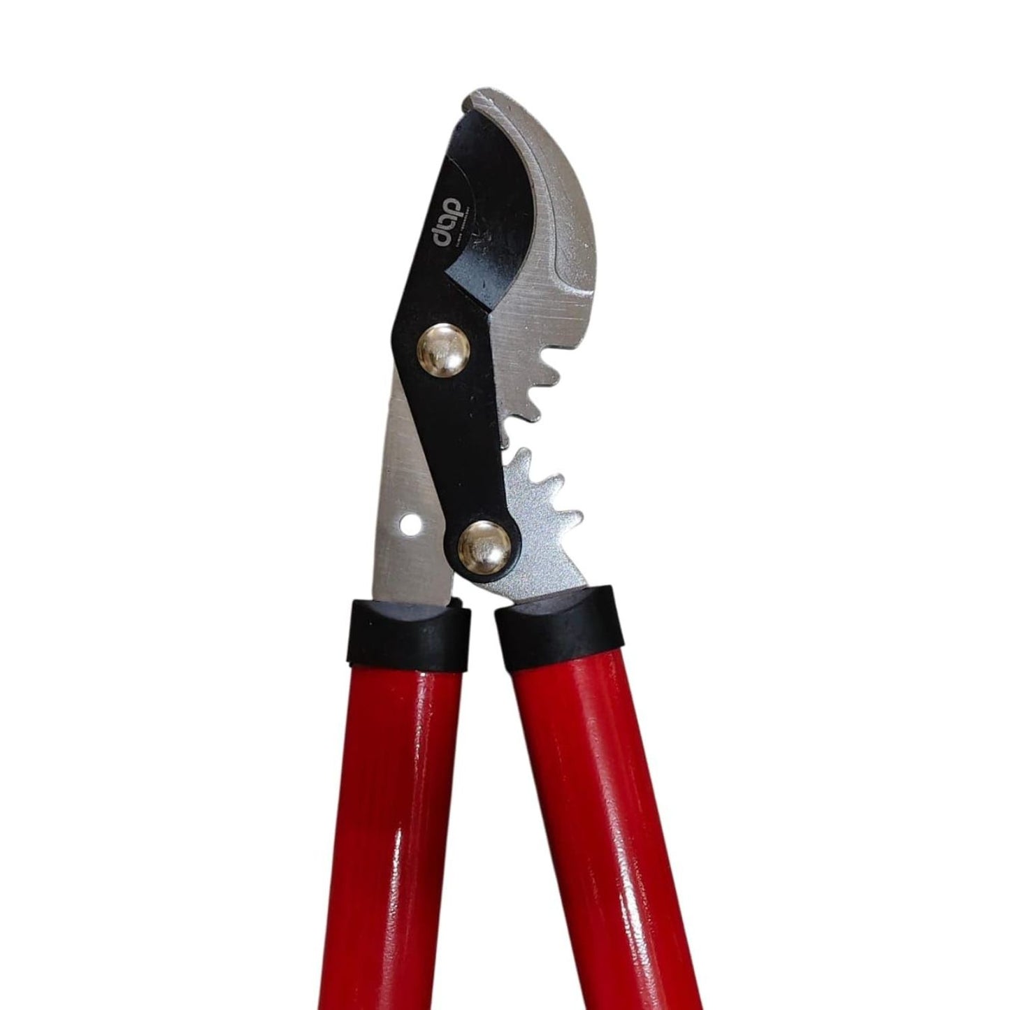 DAP gardening pruning lopper bladeswith red handles on a white background