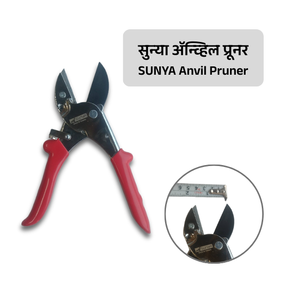 SUNYA Anvil Pruner with close-up inset on a white background