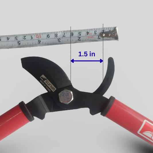 Red bypass lopper tool with jaw width measurement showing 1.5 inches, against a light gray background.