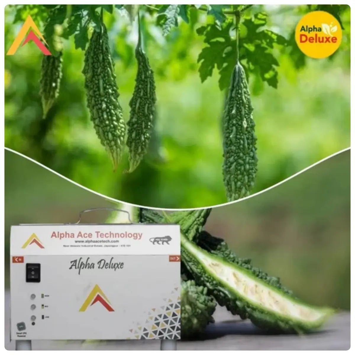 Green bitter gourd with Alpha Deluxe branding and injector.