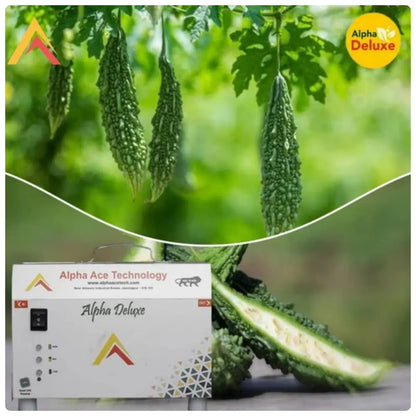 Green bitter gourd with Alpha Deluxe branding and injector.