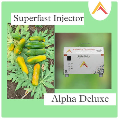 Superfast Injector Alpha Deluxe with images of papaya on a green background