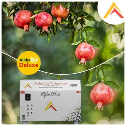 Pomegranate tree with ripe fruits and Alpha Deluxe branding on a drip fertilizer injector.