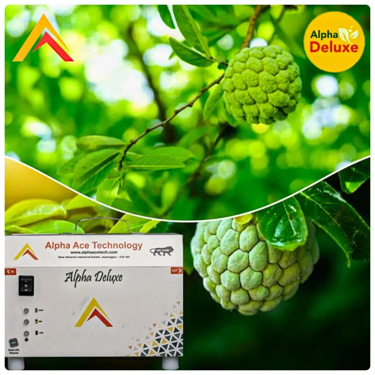 Green custard apple on a tree with Alpha Deluxe branding and fertigation injector product.