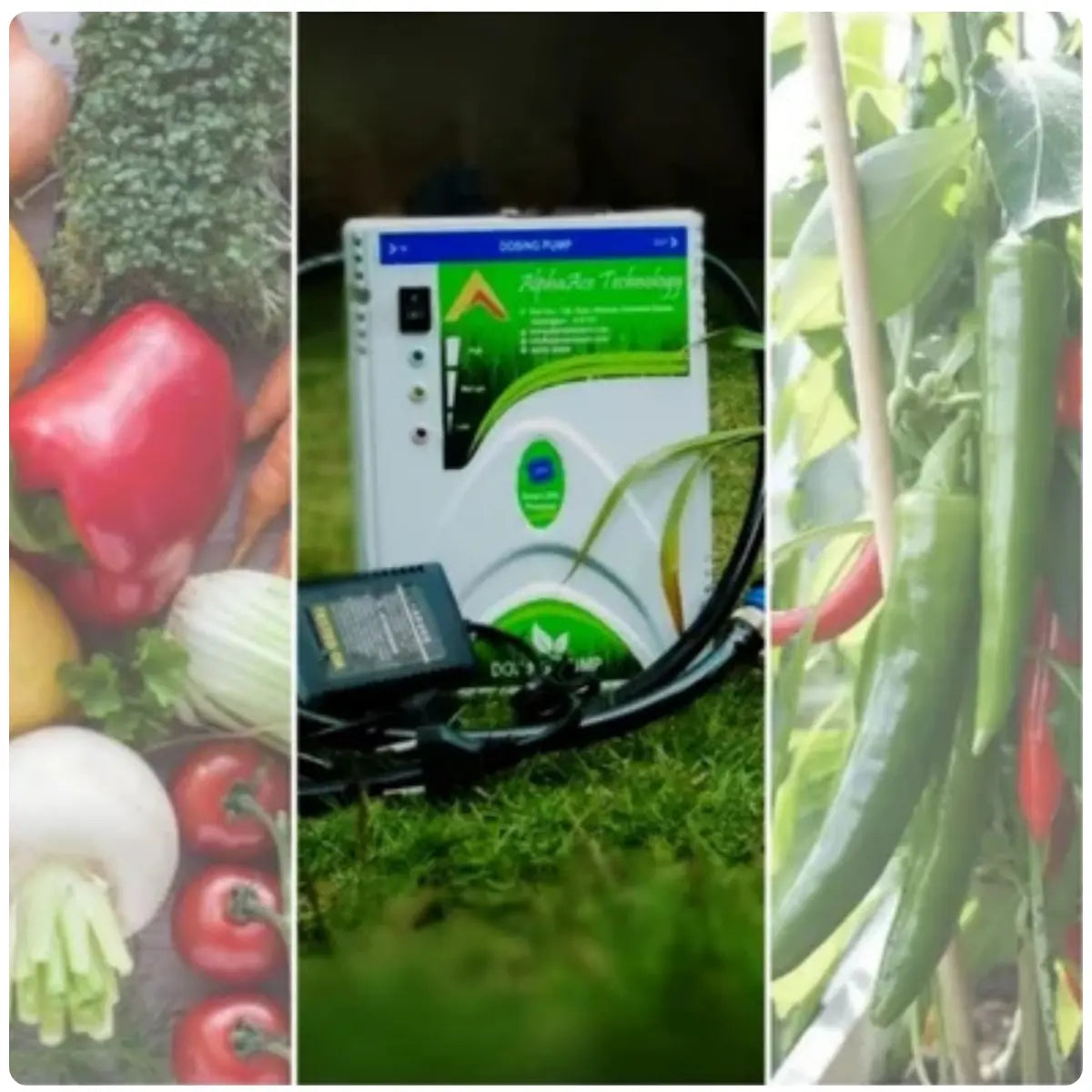 Collage of vegetables, Injector Pressure pump, and plants with a focus on agriculture and technology.