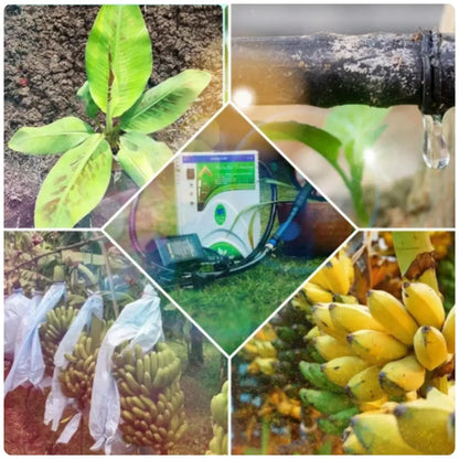 Collage of images related to agriculture, including plants, a drop of water from drip, and bananas. Alpha Marvel drip injector pump