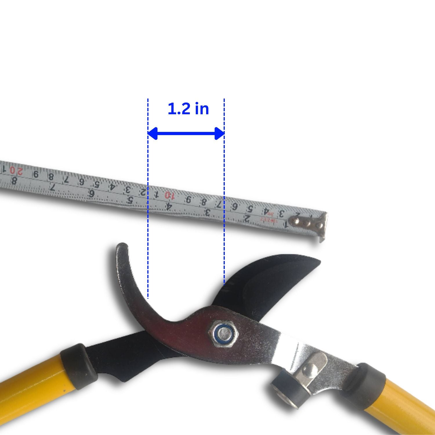 Garden pruning lopper with measurement of blade width against a ruler on a white background