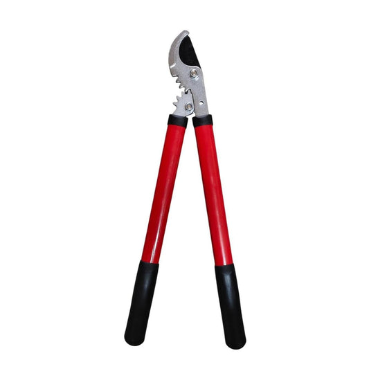 Garden pruning lopper with red handles on a white background