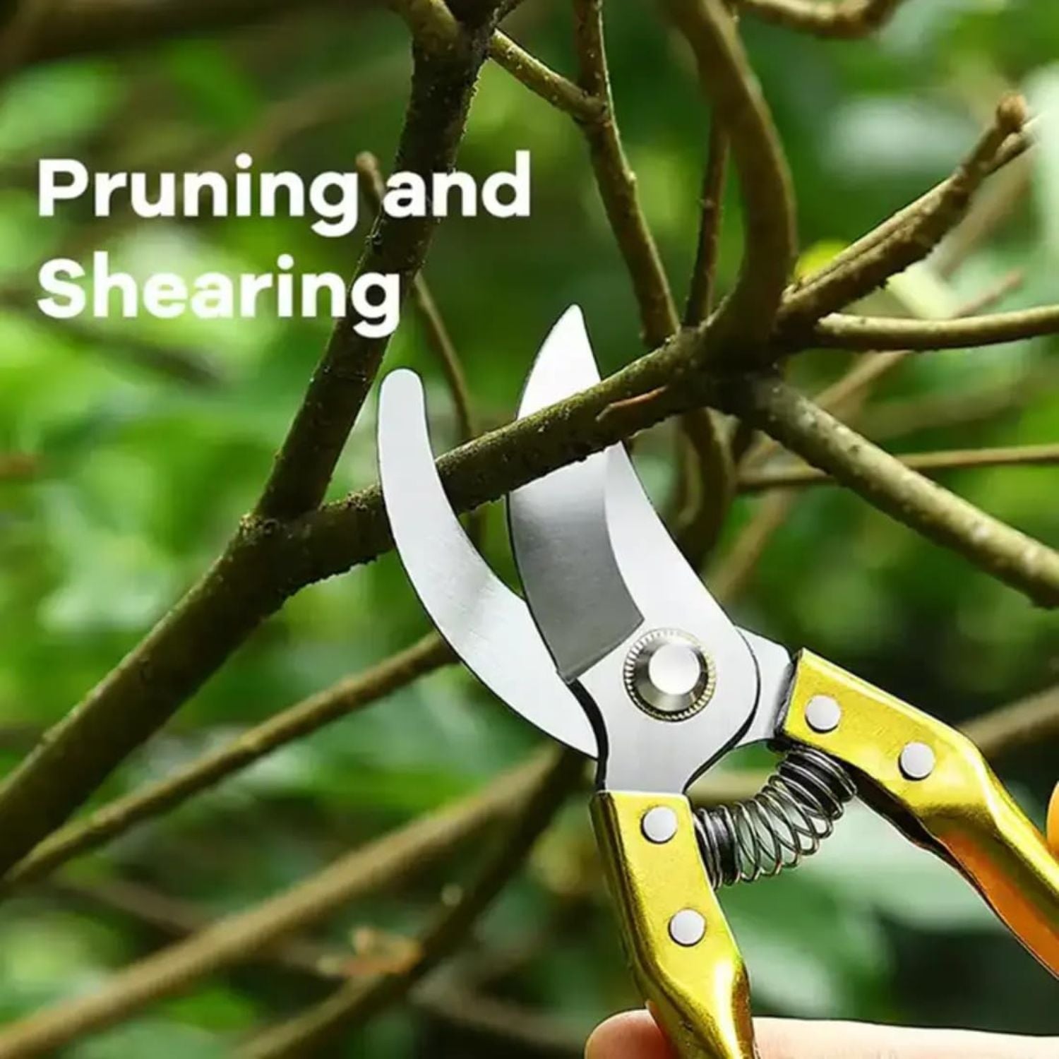 Gardening shears cutting through a branch with text 'Pruning and Shearing' on a blurred green background.