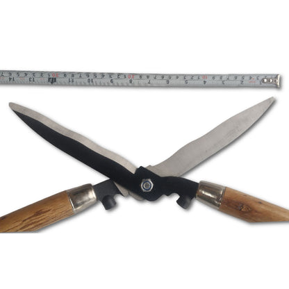 garden hedge cutter with wooden handle and metal blades, measured against a ruler on a white background