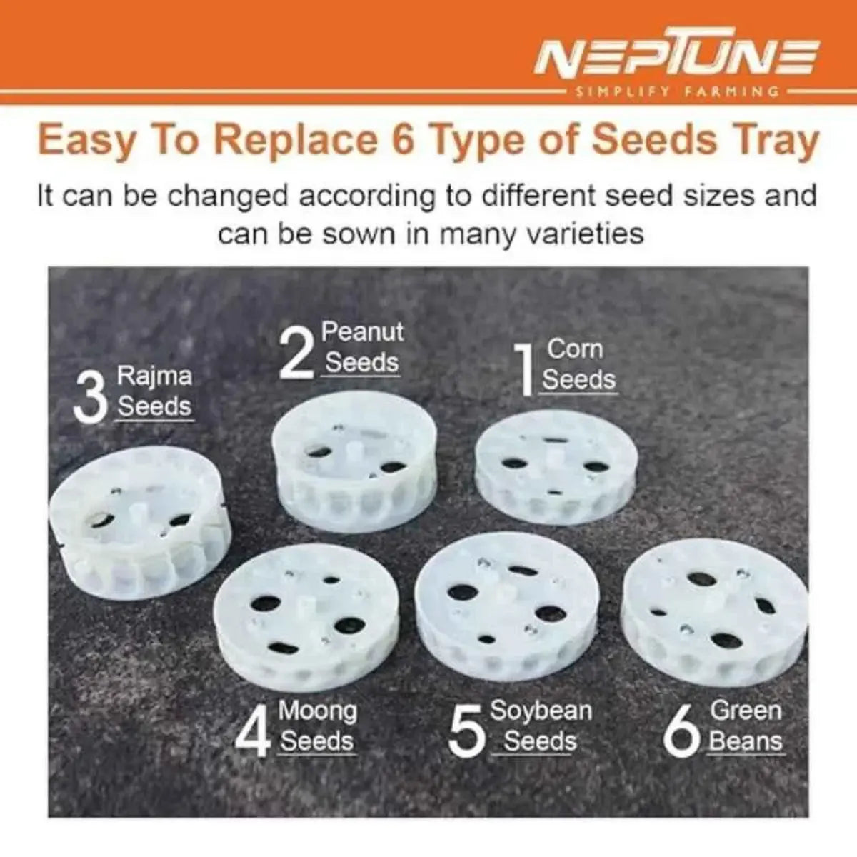 Seeds tray with labeled sections for different types of seeds on a dark background