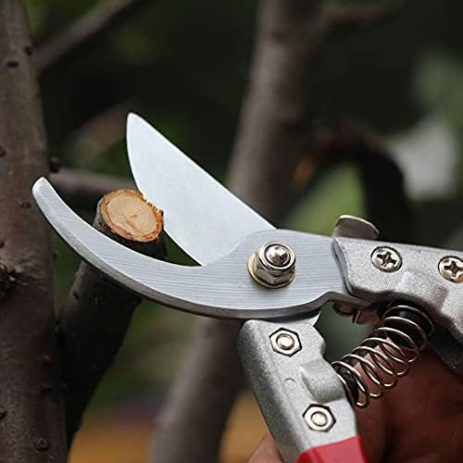 Garden pruner cutting through a branch with a blurred natural background