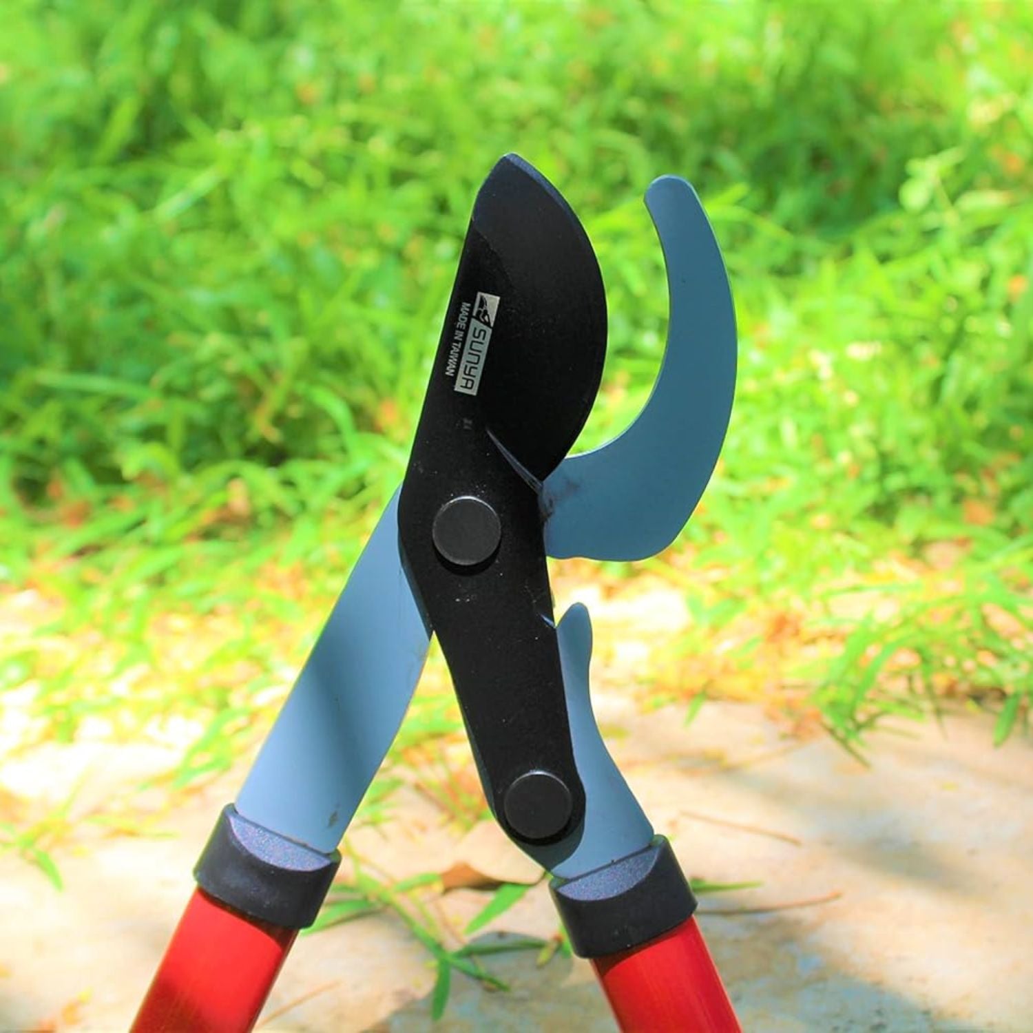 Gardening shears with blue and red handles against a blurred green background