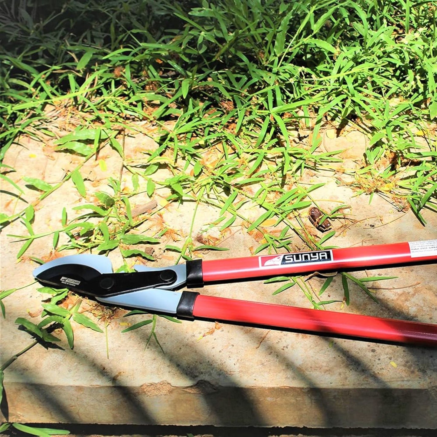 Garden pruner on a stone surface with grass in the background