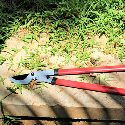 Garden pruner on a stone surface with grass in the background