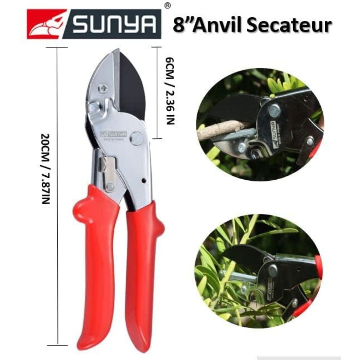 8-inch anvil secateurs with red handles, shown with measurements and usage on a white background.