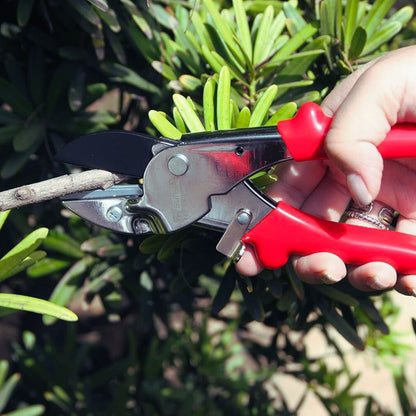 Person using red pruning shears to trim green foliage