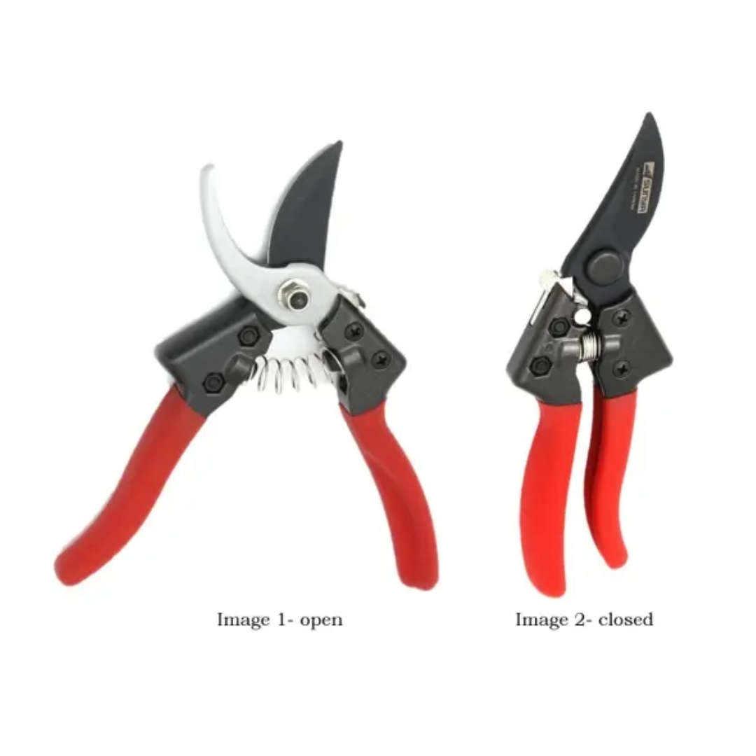 Two pairs of pruning shears, one open and one closed, on a white background.
