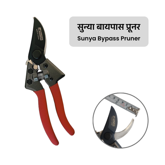 Sunya bypass pruner with close-up of blade on a white background