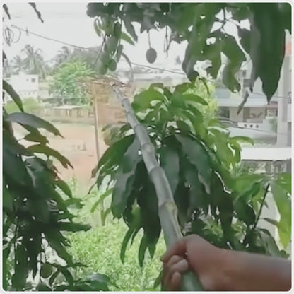 Mango harvesting demonstration video - vikas agro mall