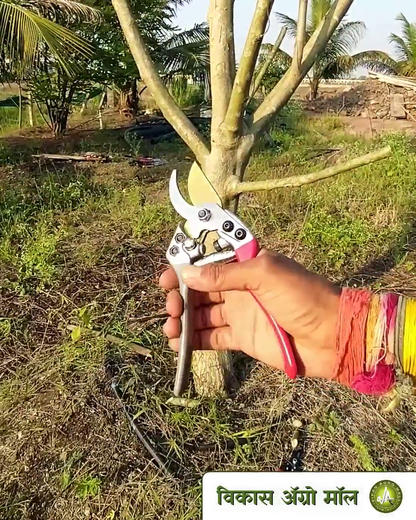 red-grey pruner used to trim small branches at vikas agro mall