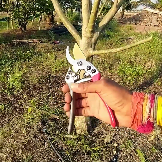 Sunya bypass pruner used to trim small branches at vikas agro mall