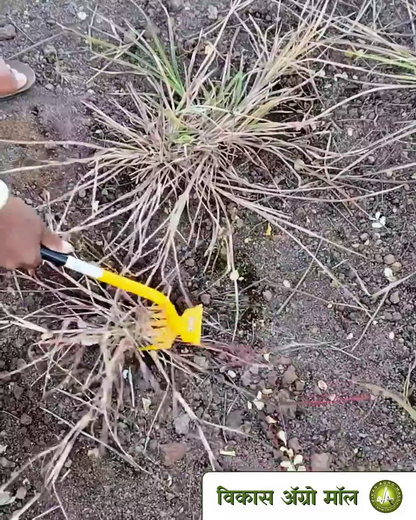 MAE weeder tool used to remove weeds at vikas agro mall