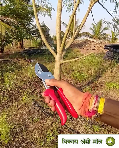 Sunya Anvil Pruner used to trim small branches demo at vikas agro mall