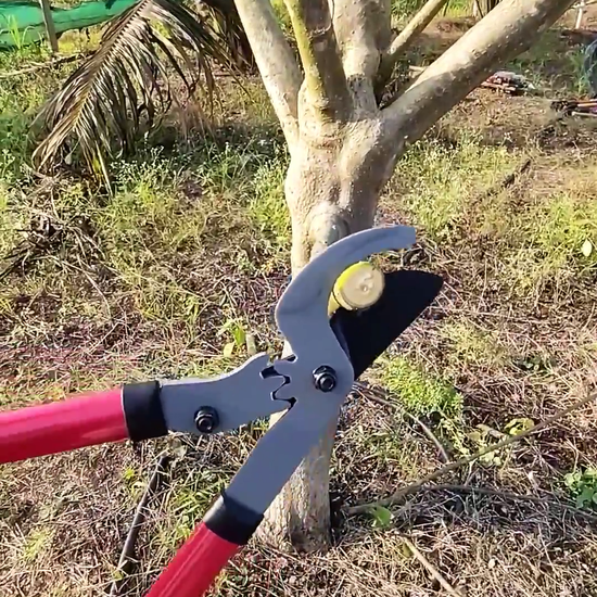 Sunya gear Anvil lopper used to trim branches at vikas agro mall
