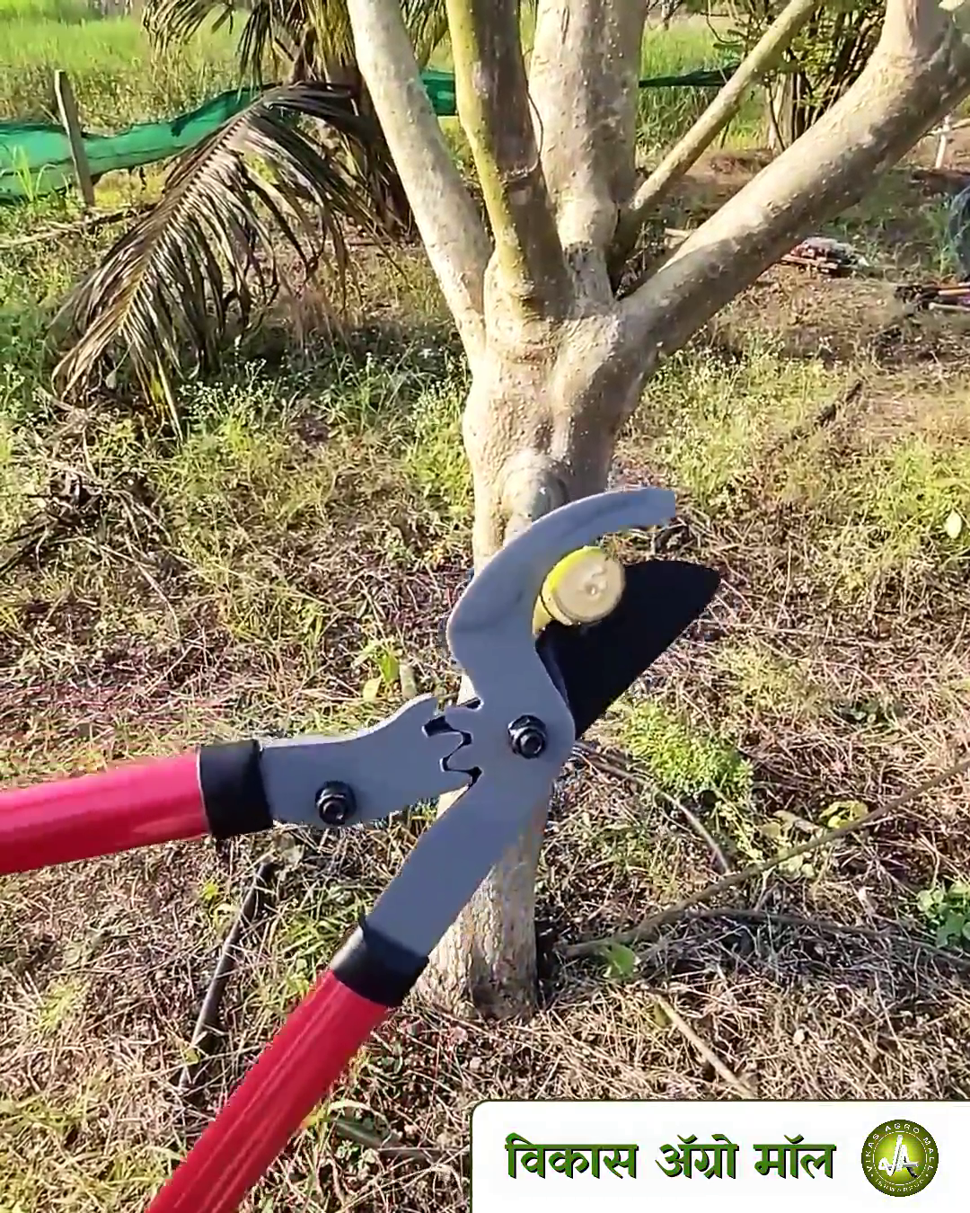 Sunya gear Anvil lopper used to trim branches at vikas agro mall