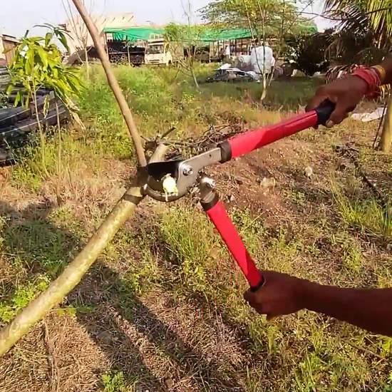 Sunya Mini gear bypass lopper used to trim branches at vikas agro mall