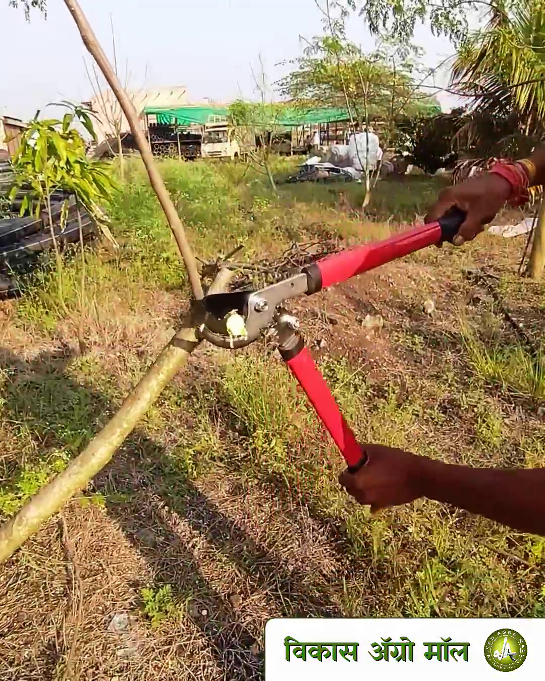 Sunya Mini gear bypass lopper used to trim branches at vikas agro mall