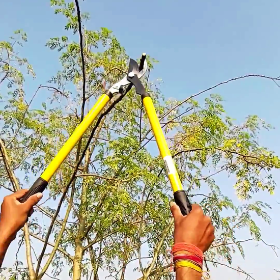 Simple lopper used to trim small branches at vikas agro mall