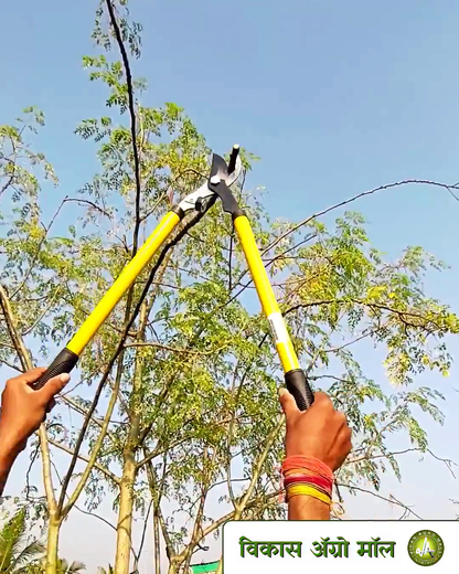 Simple lopper used to trim small branches at vikas agro mall