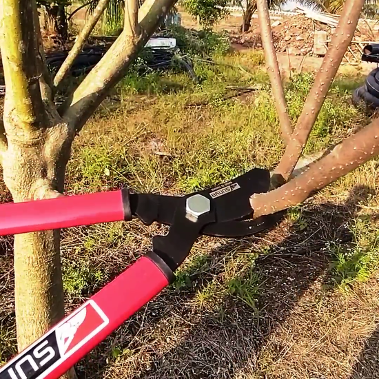 Sunya simple lopper used to trim small branches at vikas agro mall