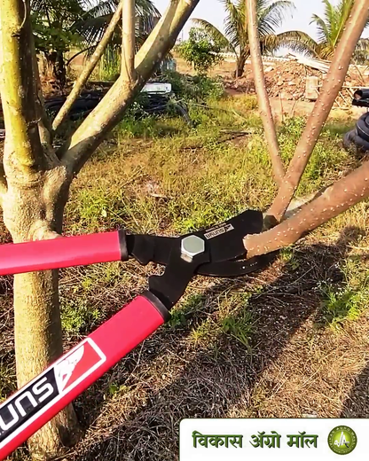 Sunya simple lopper used to trim small branches at vikas agro mall