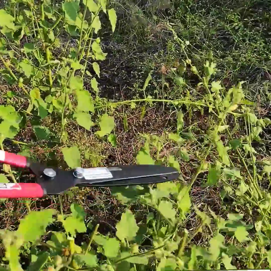 Sunya Hedge shear- Vikas Agro Mall